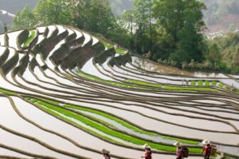 Tour Yunnan-Vietnam (15 days)