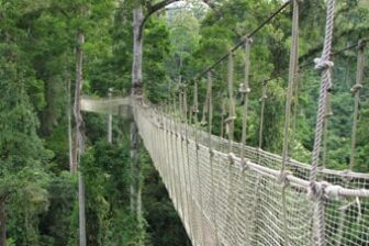 Skytree - Mengla canopy 望天树景区