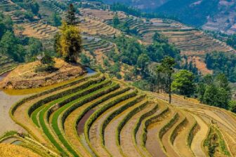 Bada Rice Terraces