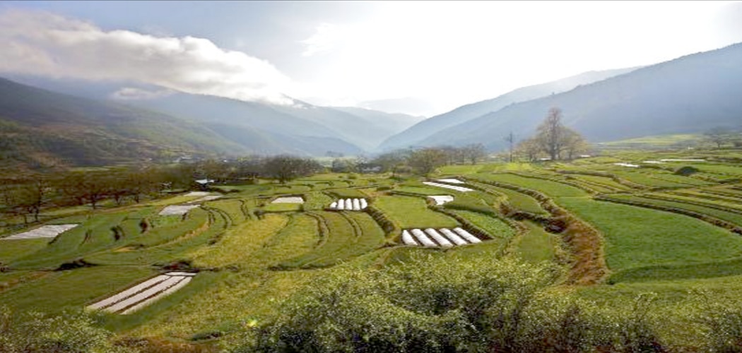 Northern Yunnan Outdoors: an active and varied itinerary in the heart of the mountains - Image 18