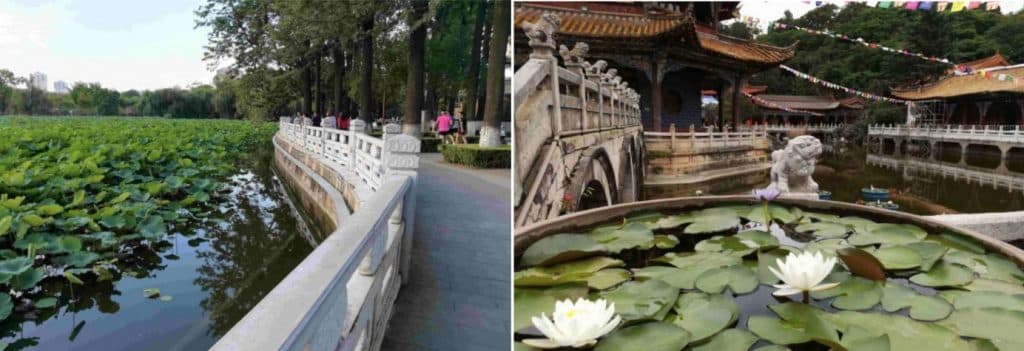 Wonders of Sichuan and Yunnan - Image 5