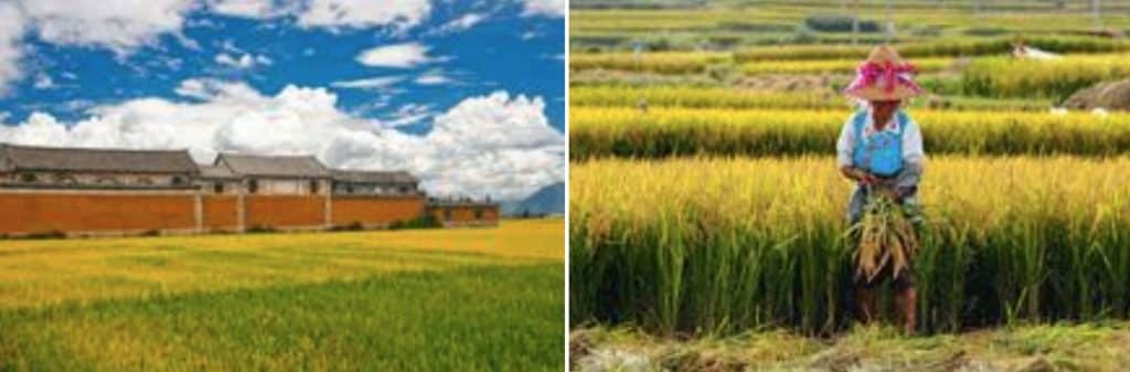 Wonders of Sichuan and Yunnan - Image 8