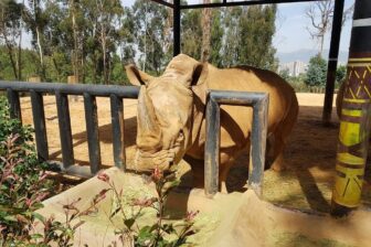 Yunnan Wild Animals Park 云南野生动物园